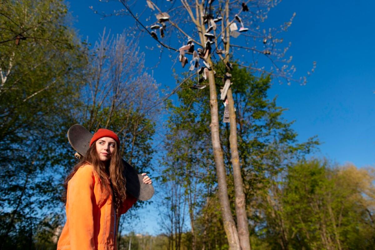 Tree Removal Hills District