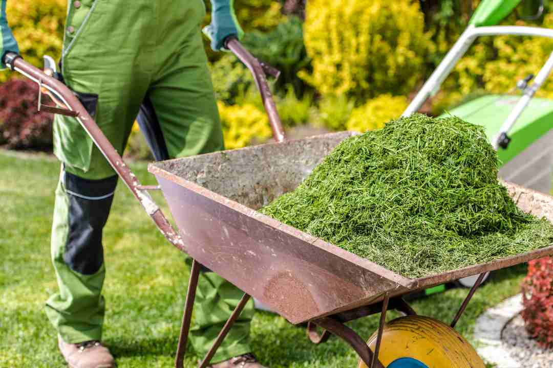 Comprehensive Green Waste Removal Services: Eco-Friendly Solutions Across Australia