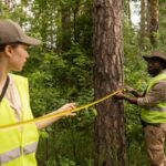 How to Choose the Best Tree Pruning Services Sydney for Large Properties