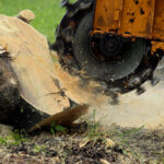 7 Ways to Use Wood Mulch to Boost Your Garden Health