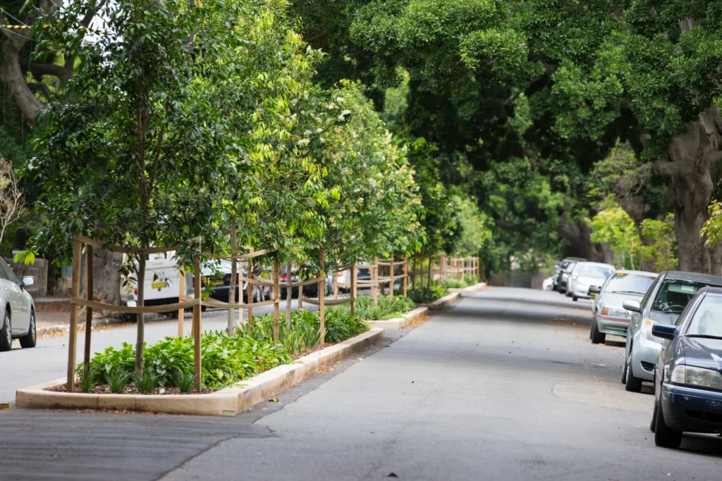 Tree Lopping Sydney: What It Really Means and When You Should Ask for Something Else

