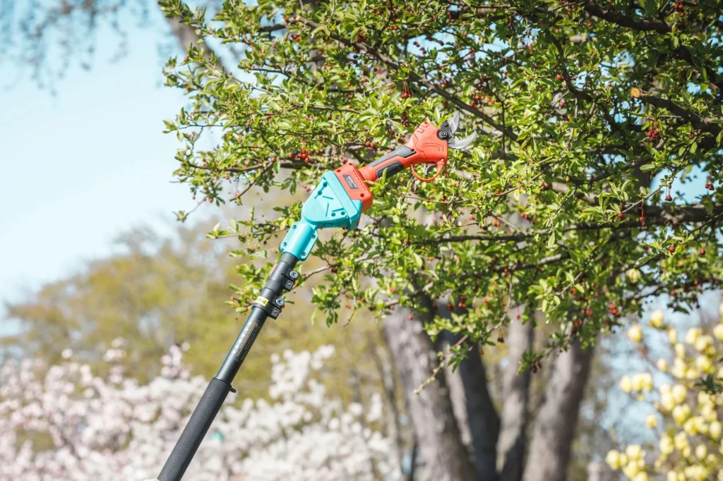 Tree Trimming 101: Why It Matters and How to Do It Right