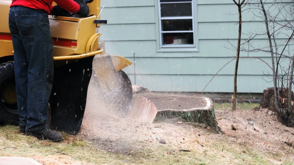 Complete Stump Grinding Sydney: Remove Tree Stumps Permanently