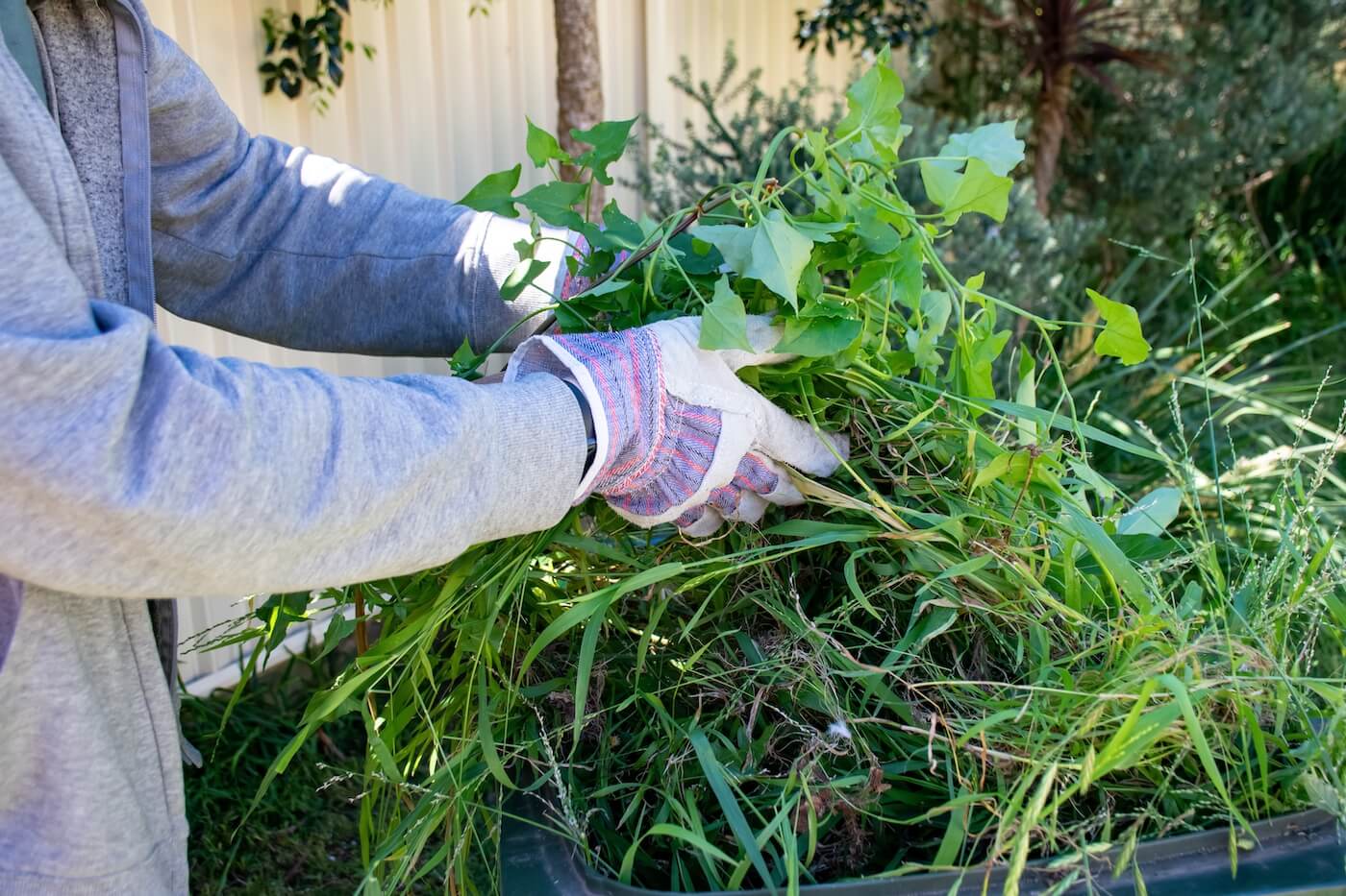 Professional Green Waste Removal Sydney: Sustainable Disposal Solutions