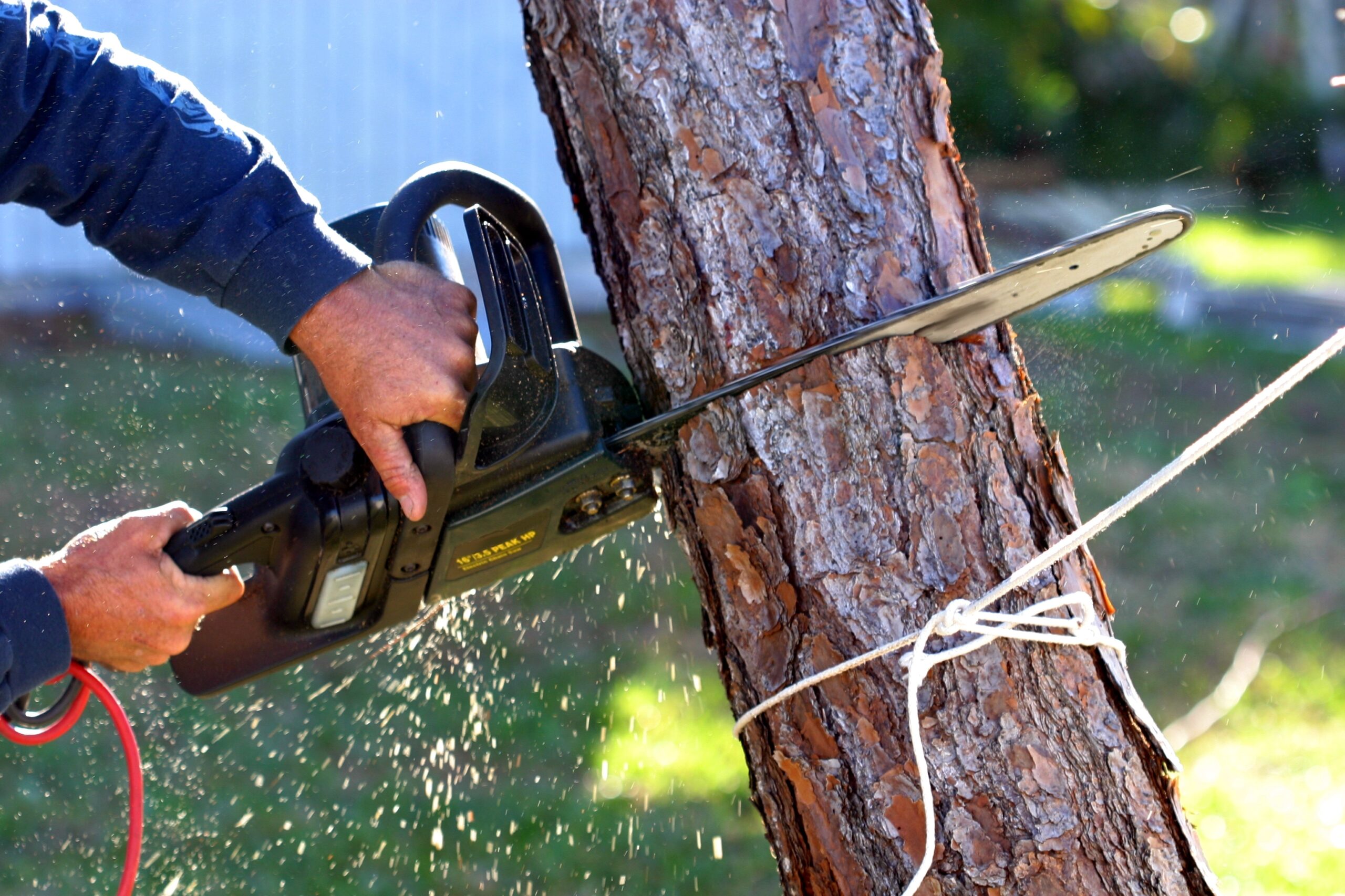 Complete Stump Grinding Sydney: Remove Tree Stumps Permanently