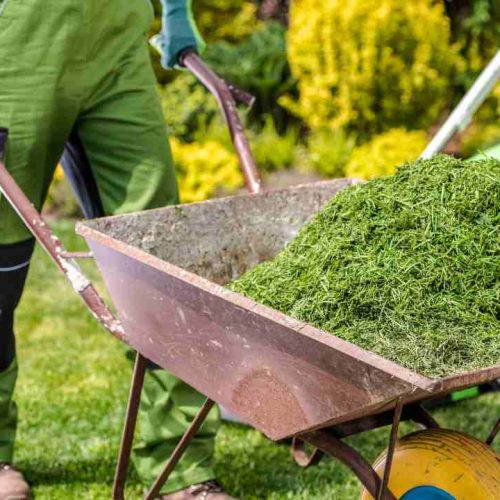 Comprehensive Green Waste Removal Services: Eco-Friendly Solutions Across Australia